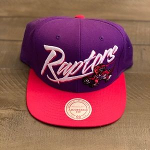 Raptors Snapback